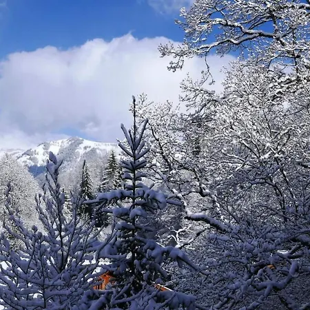 Apartment Tree-tops- By Interhome Gstaad