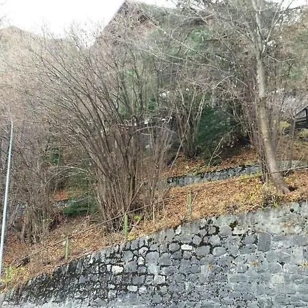 Tree-tops- By Interhome * Gstaad