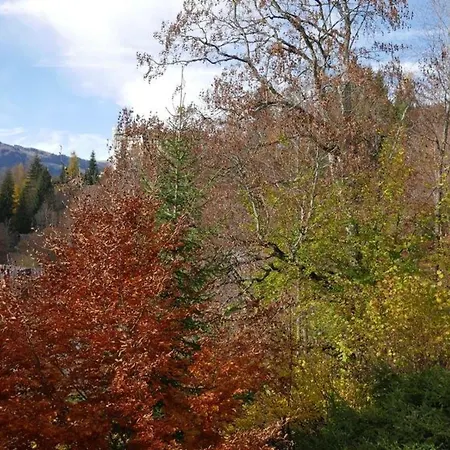 Tree-tops- By Interhome Apartamento