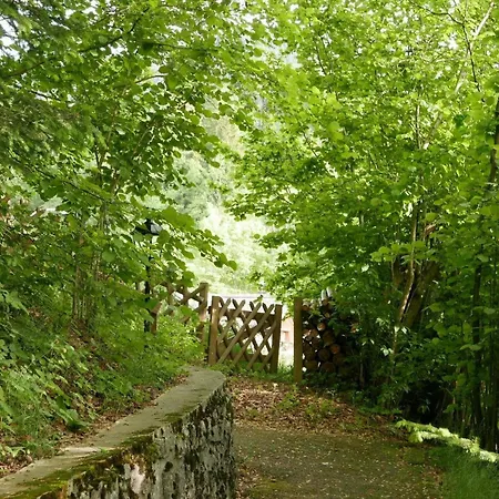 Tree-tops- By Interhome Appartement Gstaad