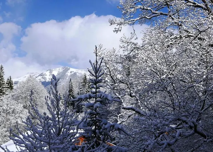Appartement Tree-tops- By Interhome Gstaad