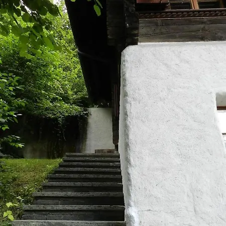 Tree-tops- By Interhome Gstaad